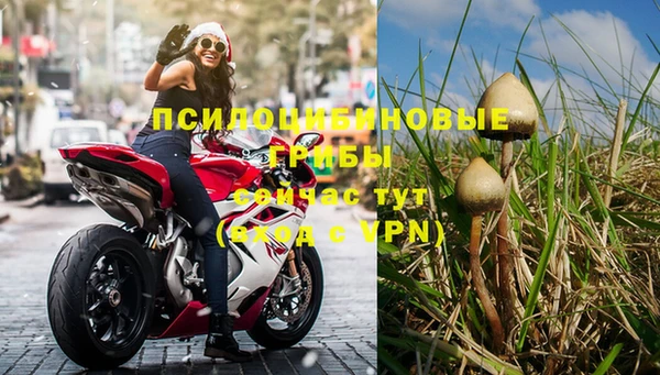 ПСИЛОЦИБИНОВЫЕ ГРИБЫ Балабаново