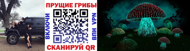 купить наркотики сайты  hydra ССЫЛКА  Псилоцибиновые грибы MAGIC MUSHROOMS  Гаврилов-Ям 